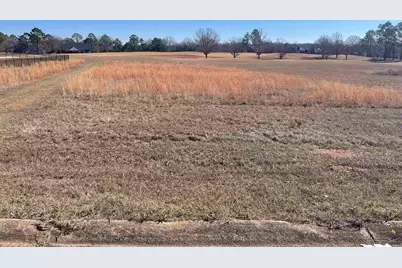 Lot 4 Camden Way, Hawkinsville, GA 31036 - Photo 8