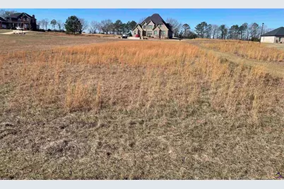 Lot 35 Crabapple Dr, Hawkinsville, GA 31036 - Photo 2