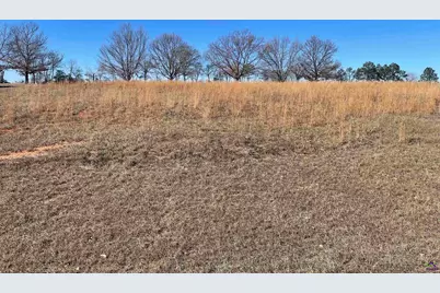 Lot 35 Crabapple Dr, Hawkinsville, GA 31036 - Photo 14