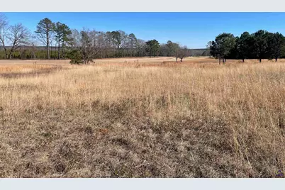 Lot 35 Crabapple Dr, Hawkinsville, GA 31036 - Photo 4