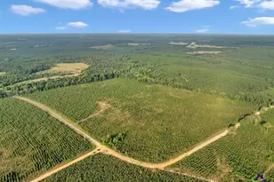 Parcel 6 Carl Rodgers Rd, Reynolds, GA 31076 - Photo 1