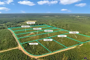 Parcel 7 Carl Rodgers Rd, Reynolds, GA 31076 - Photo 1