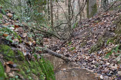 0 S 42 Highway, Forsyth, GA 31029 - Photo 8