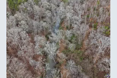 0 S 42 Highway, Forsyth, GA 31029 - Photo 6