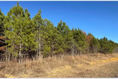Lot 1A Whitfield Rd, Elko, GA 31025 - Photo 1