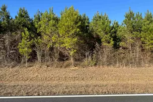 Lot 2A Whitfield Rd, Elko, GA 31025 - Photo 1