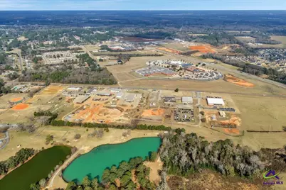 Hwy 341 S (1.5 Acres), Perry, GA 31069 - Photo 8