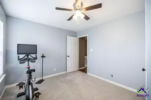 225 Fieldfare Dr, Kathleen, GA 31047 - Photo 28