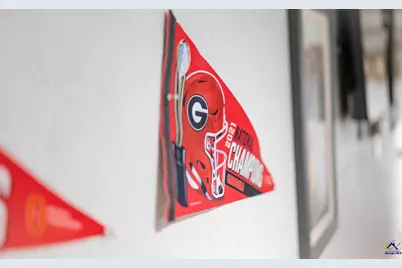 684 Chester-Cochran Highway, Chester, GA 31012 - Photo 6