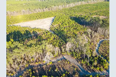 869 Chester-Cochran Highway, Chester, GA 31012 - Photo 14