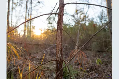 869 Chester-Cochran Highway, Chester, GA 31012 - Photo 22