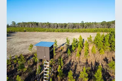 869 Chester-Cochran Highway, Chester, GA 31012 - Photo 12