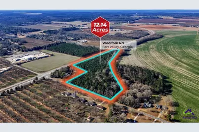 Woolfolk Road Road, Fort Valley, GA 31030 - Photo 2