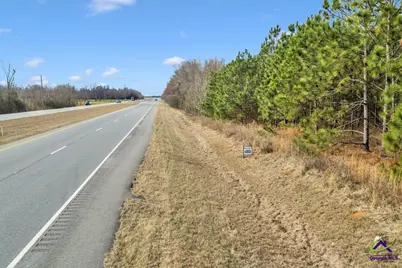 Woolfolk Road Road, Fort Valley, GA 31030 - Photo 4