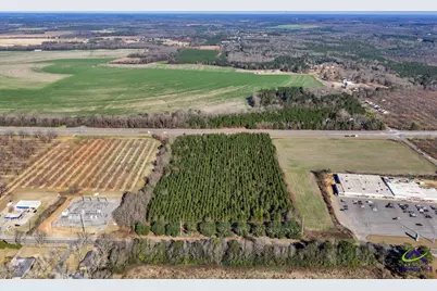 Woolfolk Road Road, Fort Valley, GA 31030 - Photo 14