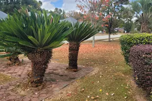 101 Pamlico Ct, Warner Robins, GA 31088 - Photo 6