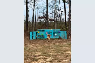 150 Long Pines Circle, East Dublin, GA 31027 - Photo 6