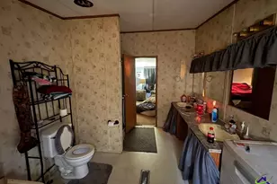 798 Williamson Rd, Tallapoosa, GA 30176 - Photo 70