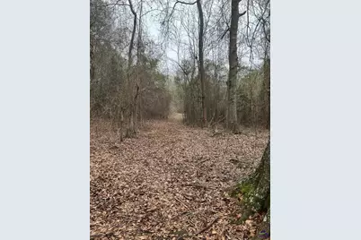 1163 Old Ideal Road, Oglethorpe, GA 31068 - Photo 4