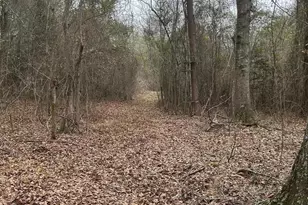 1163 Old Ideal Rd, Oglethorpe, GA 31068 - Photo 4