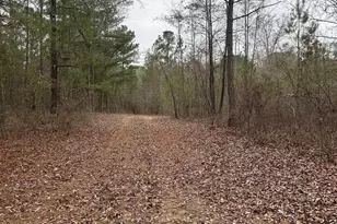 1163 Old Ideal Rd, Oglethorpe, GA 31068 - Photo 2