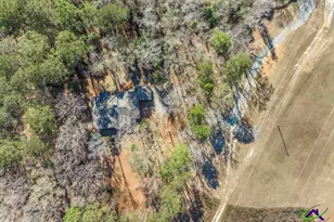 207 Becky Dr, Bonaire, GA 31005 - Photo 22