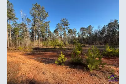 1351 Dixon Road, Roberta, GA 31078 - Photo 4