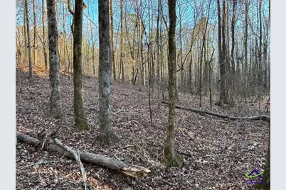 1351 Dixon Road, Roberta, GA 31078 - Photo 1