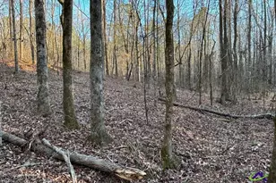 1351 Dixon Rd, Roberta, GA 31078 - Photo 1