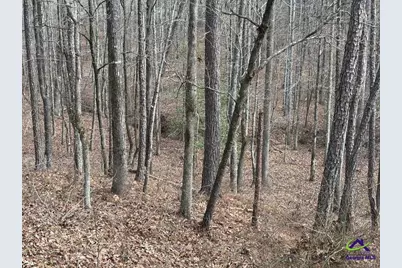 1351 Dixon Road, Roberta, GA 31078 - Photo 12