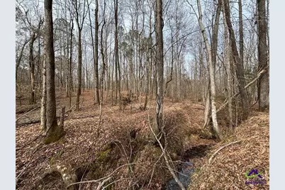 1351 Dixon Road, Roberta, GA 31078 - Photo 10