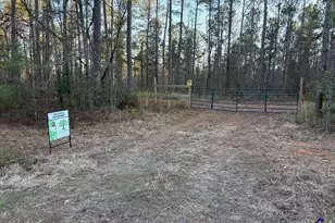 1351 Dixon Rd, Roberta, GA 31078 - Photo 1