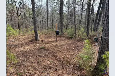 1351 Dixon Road, Roberta, GA 31078 - Photo 14