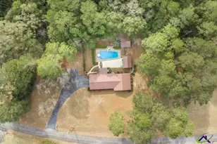19 Mansfield Dr, Hawkinsville, GA 31036 - Photo 6
