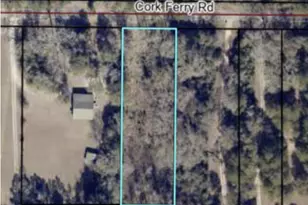 0 Cork Ferry Rd, Cordele, GA 31015 - Photo 1