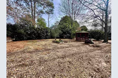 22 Oak Street, Hawkinsville, GA 31036 - Photo 50