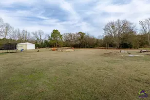 2914 S Hwy 341, Hawkinsville, GA 31036 - Photo 38