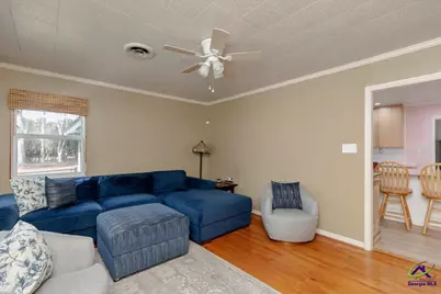 2914 S Hwy 341, Hawkinsville, GA 31036 - Photo 8