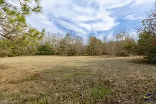 2914 S Hwy 341, Hawkinsville, GA 31036 - Photo 42