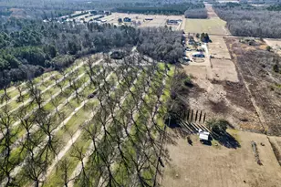 837 Klondike Rd, Hawkinsville, GA 31036 - Photo 68