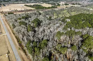 837 Klondike Rd, Hawkinsville, GA 31036 - Photo 74