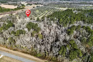 837 Klondike Rd, Hawkinsville, GA 31036 - Photo 66