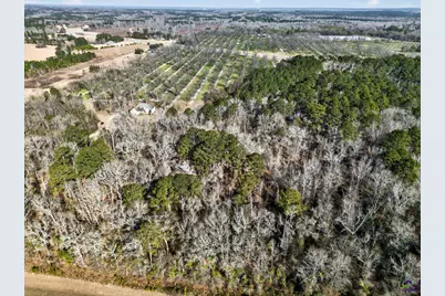 837 Klondike Road, Hawkinsville, GA 31036 - Photo 72