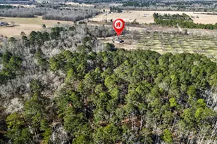 837 Klondike Rd, Hawkinsville, GA 31036 - Photo 76