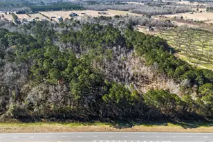 837 Klondike Rd, Hawkinsville, GA 31036 - Photo 70