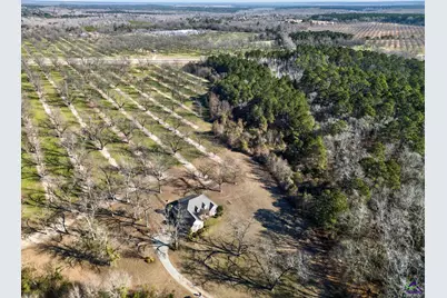 837 Klondike Road, Hawkinsville, GA 31036 - Photo 6