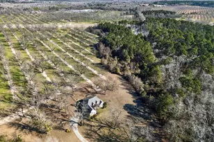 837 Klondike Rd, Hawkinsville, GA 31036 - Photo 6