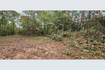 18 E Mourning Dove Court, Monticello, GA 31064 - Photo 4