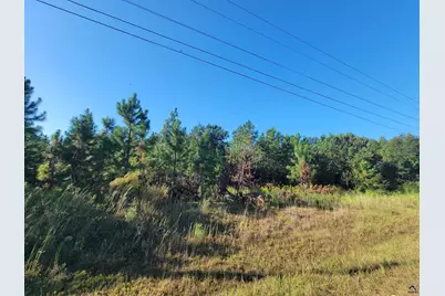 0 Benny Sharp Road, Hawkinsville, GA 31036 - Photo 2