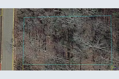 Lot 10 Oak Drive, Hawkinsville, GA 31028 - Photo 4